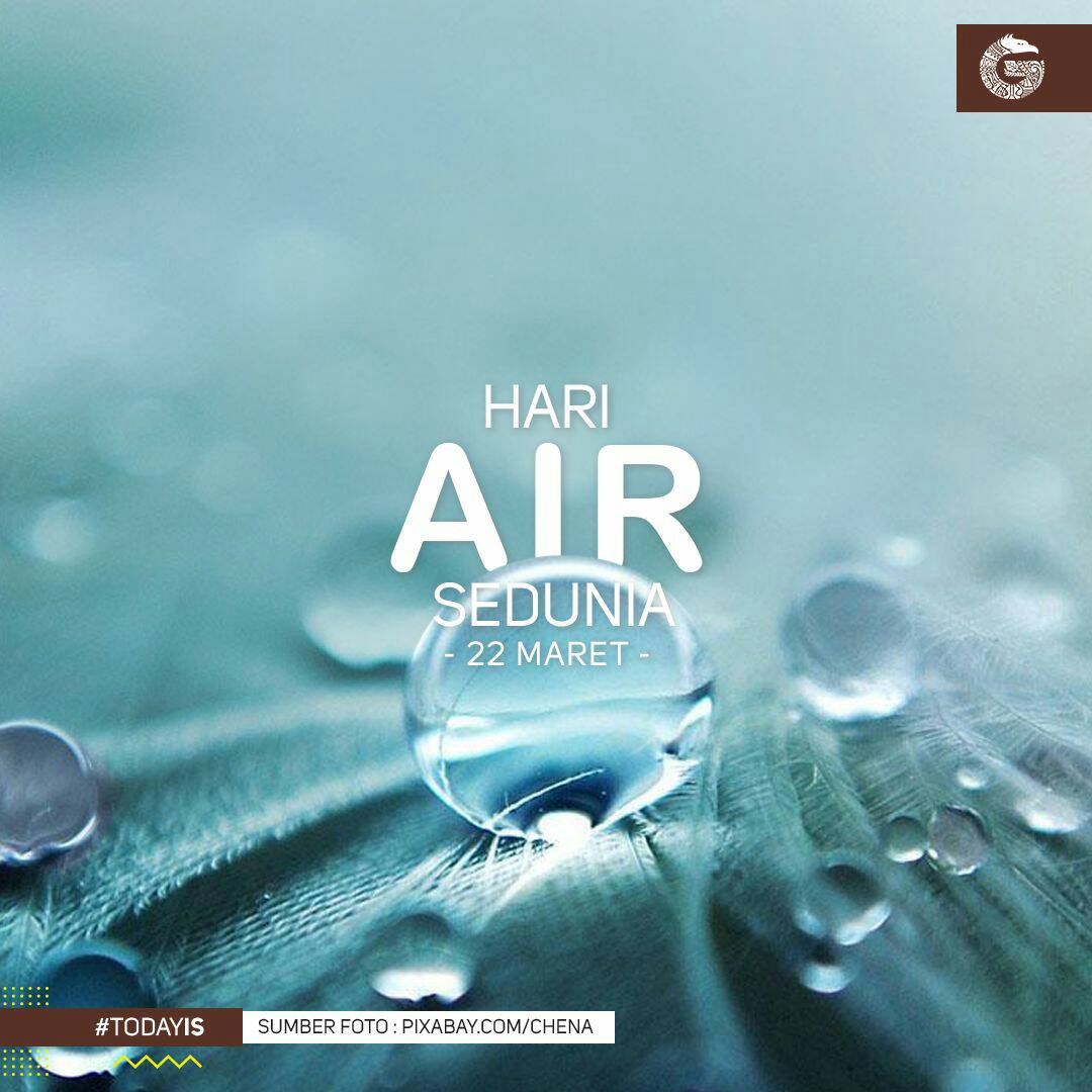 GNFI tweet picture