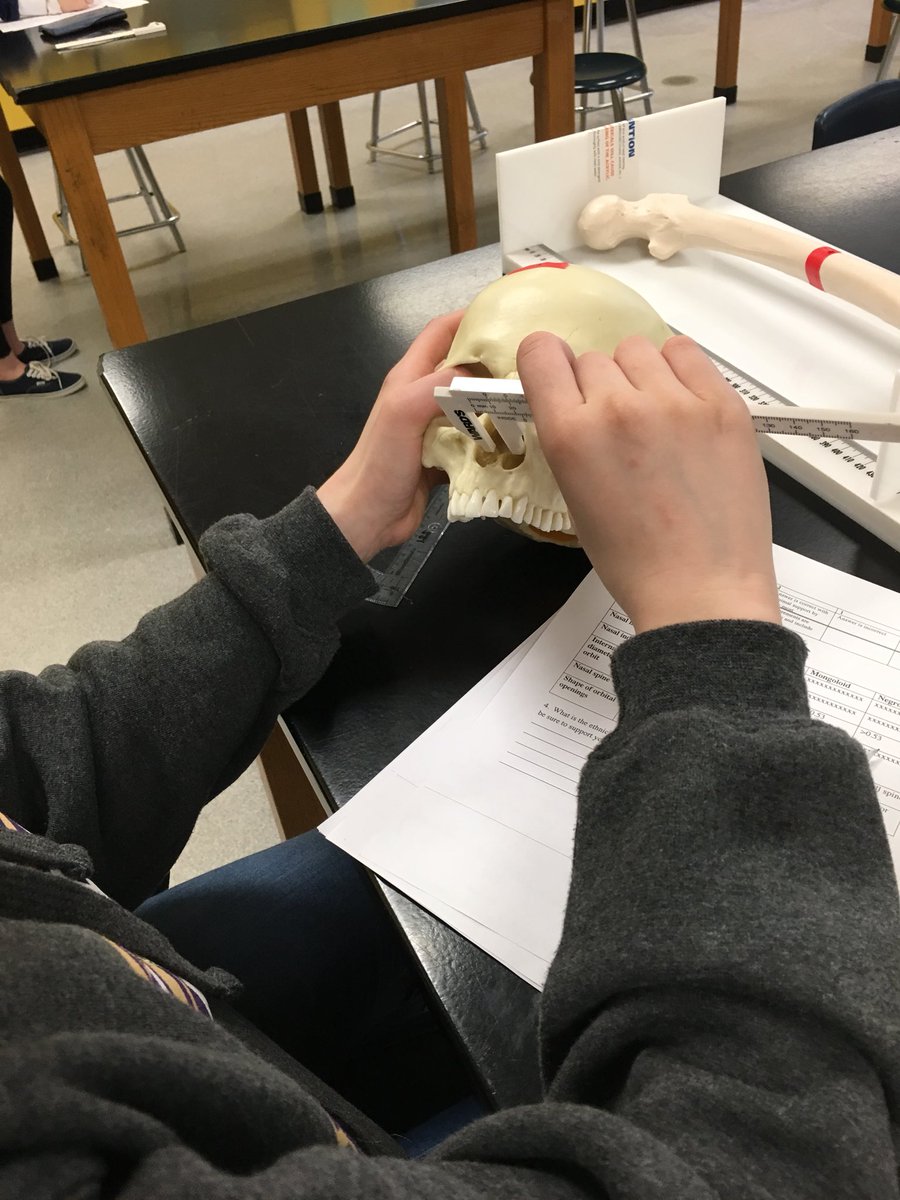 Heather_S_B's tweet photo. It’s not all paper and pencil tests in Forensics 2.  E block “forensic anthropologists” hard at work.@jsrhs03281 https://t.co/wkYdoByH3M