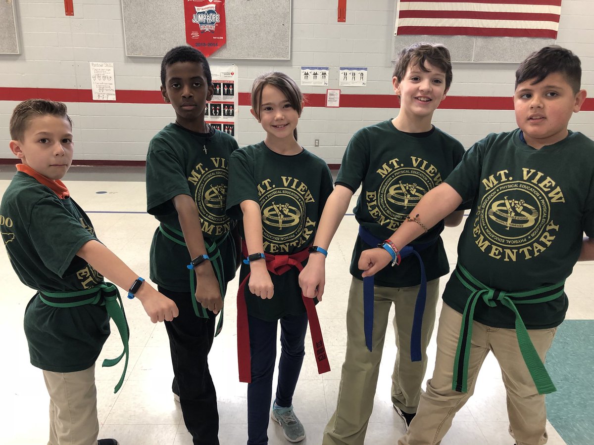 suetkd1's tweet photo. The Mt. View Tae Kwon Do kids know that real power comes from helping children who are powerless. As a part of the Mt. View in Motion UNICEF KID POWER TEAM, they opened their 500th RUTF packet TODAY!!!! #teachUNICEF https://t.co/LWd4UEkBn0