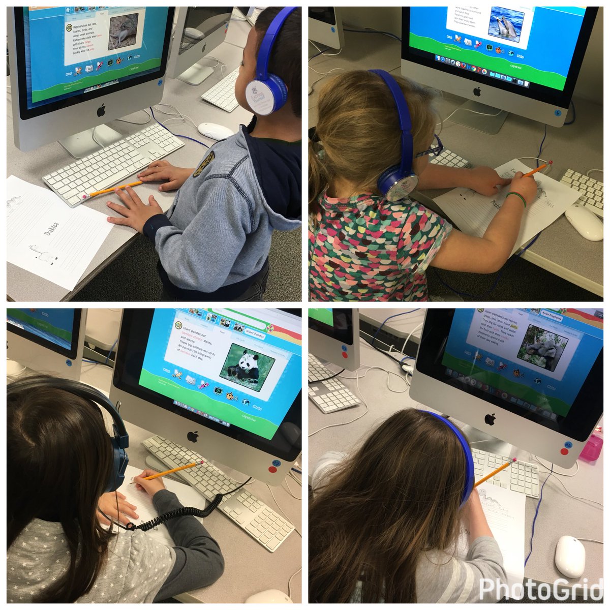 Mrs_Linendoll's tweet photo. Our Animal Research Projects are coming along! @PHEHuskies #Get2PHE https://t.co/aZdehcBM2p