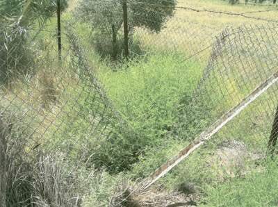 case_file's tweet photo. #Case78 The Janabi Family
Have you listened?
Here is a relative of the family outside the Janabi home; the path from Traffic Control Point 2 to the property; the soldiers' sleeping quarters at TCP2 and the cut fence that the soldiers went through on their way to the property. https://t.co/ZDL7GXI2e4