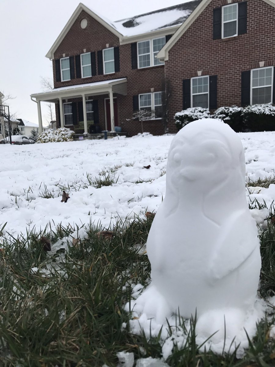 chadshowalter's tweet photo. Spring penguin!  #2ndDayOfSpring https://t.co/wuszj8mnuI