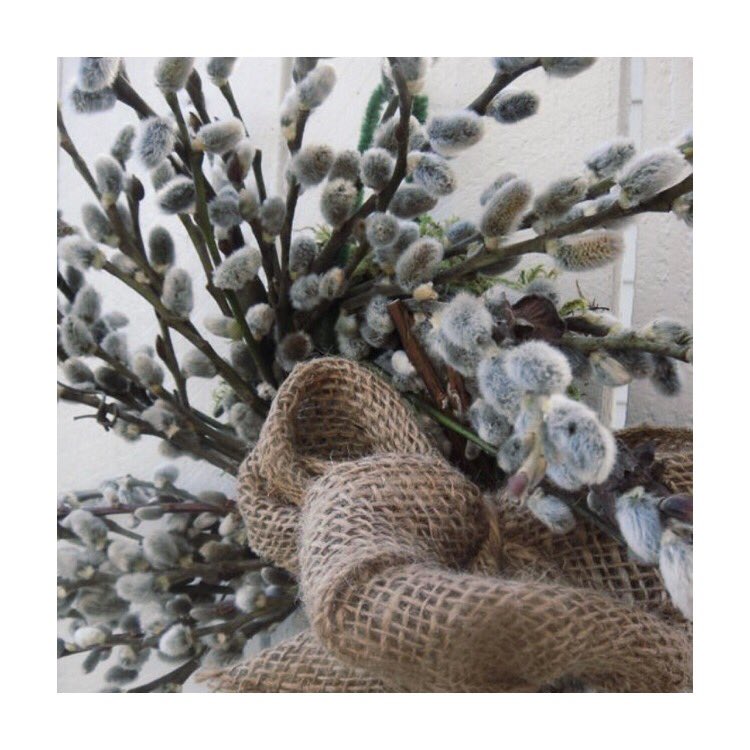 FiresideCandles's tweet photo. Not candle related but stylish nonetheless....The flowering shoots of pussy willow reflect Spring, which finally seems to have arrived and make beautiful arrangements for Easter. I bought some fresh stems in my local garden center but also spotted a fab wreath @neptunecanterby . https://t.co/VT3LCybo6q