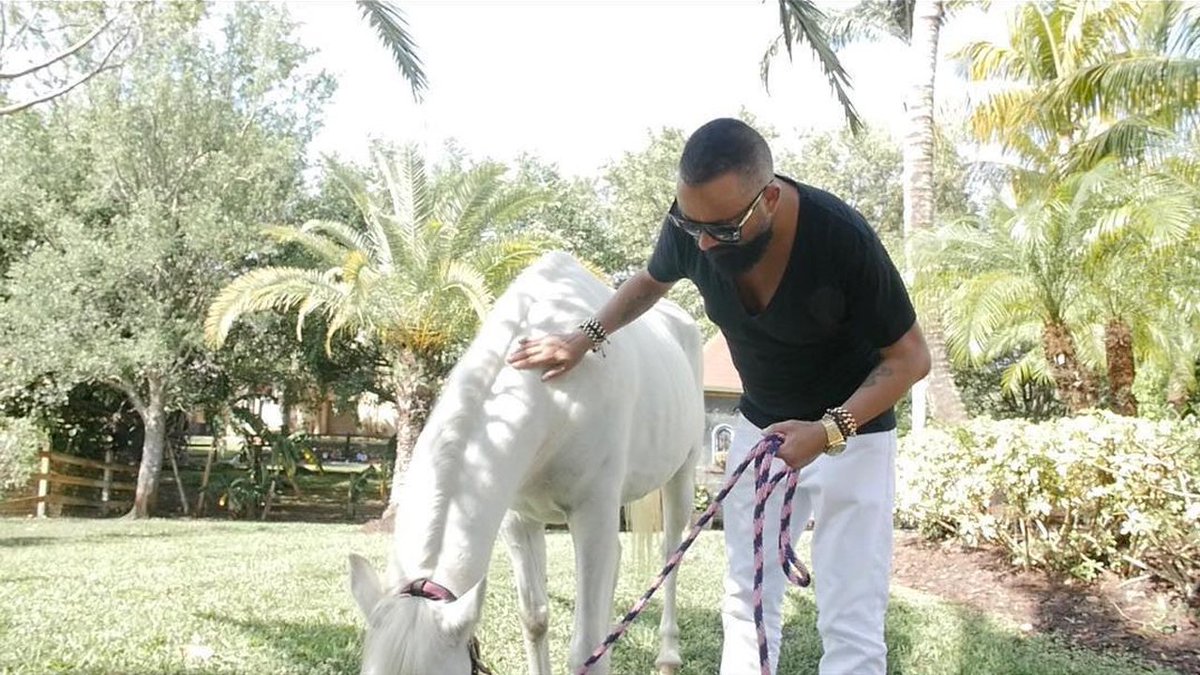 Horse from Miami Beach club is retiring to private barn, owner says bit.ly/2IK8YNC https://t.co/anwZYlWaqc