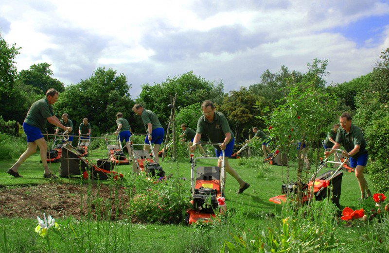 Lawn Care Minneapolis dlvr.it/QLwDl5