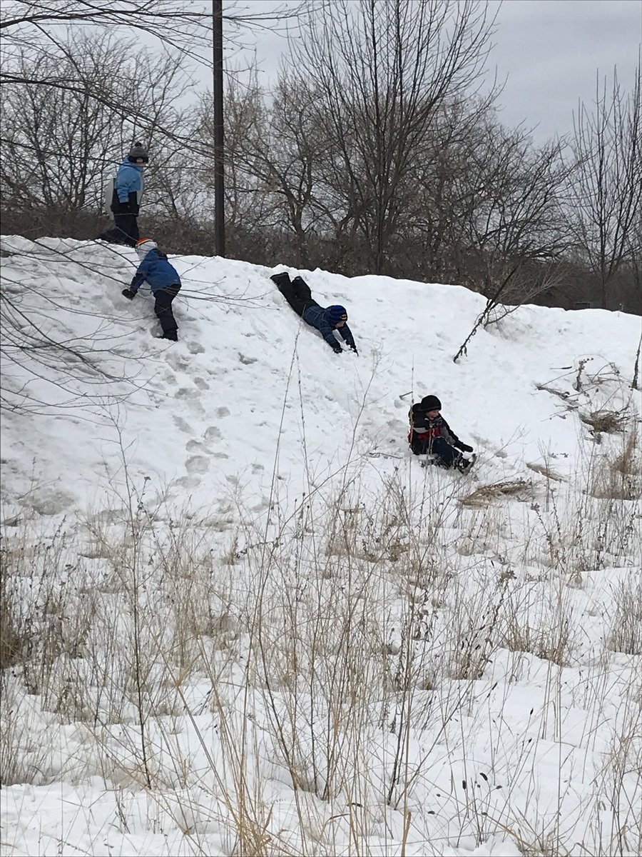 SteMarieIn403's tweet photo. Exploring the drainage ditch #WildernessWednesday https://t.co/lZztoFUtcb