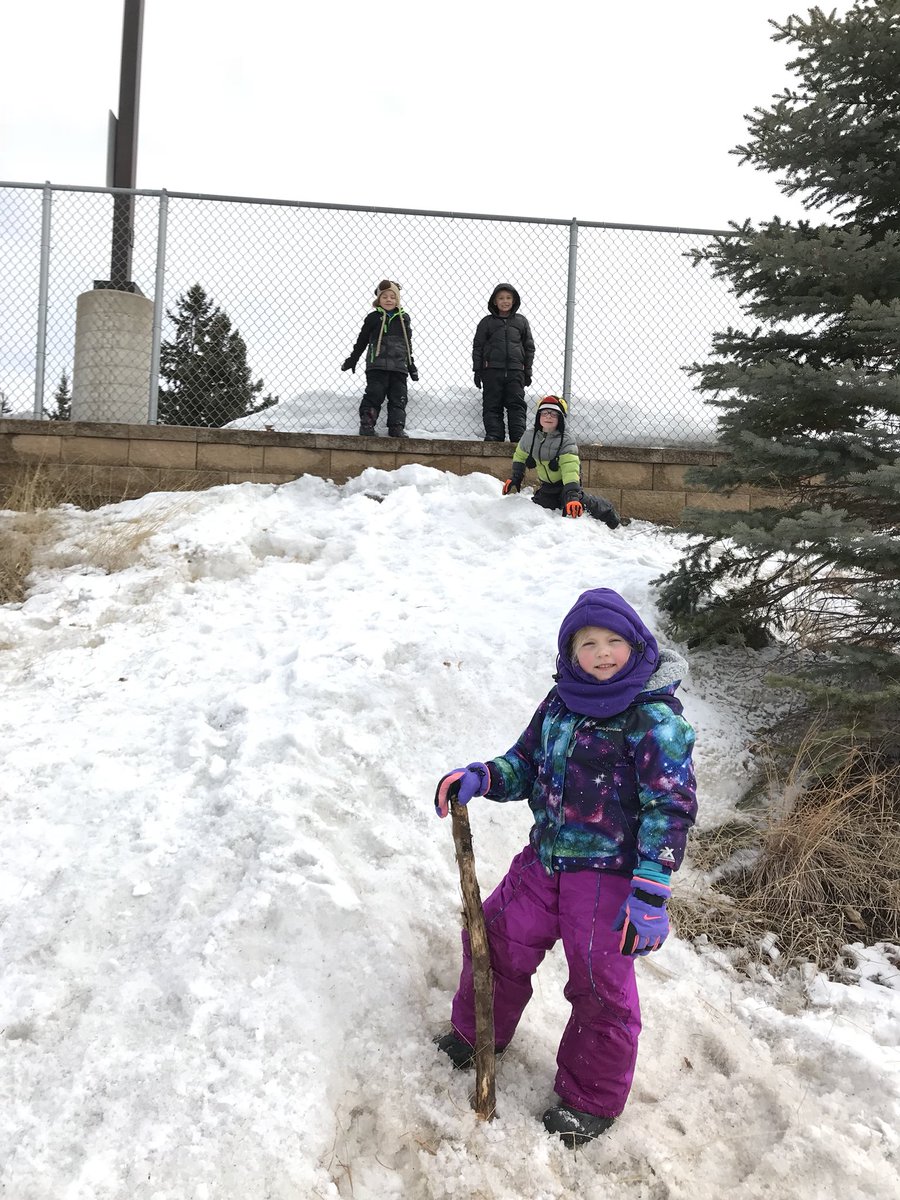 SteMarieIn403's tweet photo. Exploring the drainage ditch #WildernessWednesday https://t.co/lZztoFUtcb