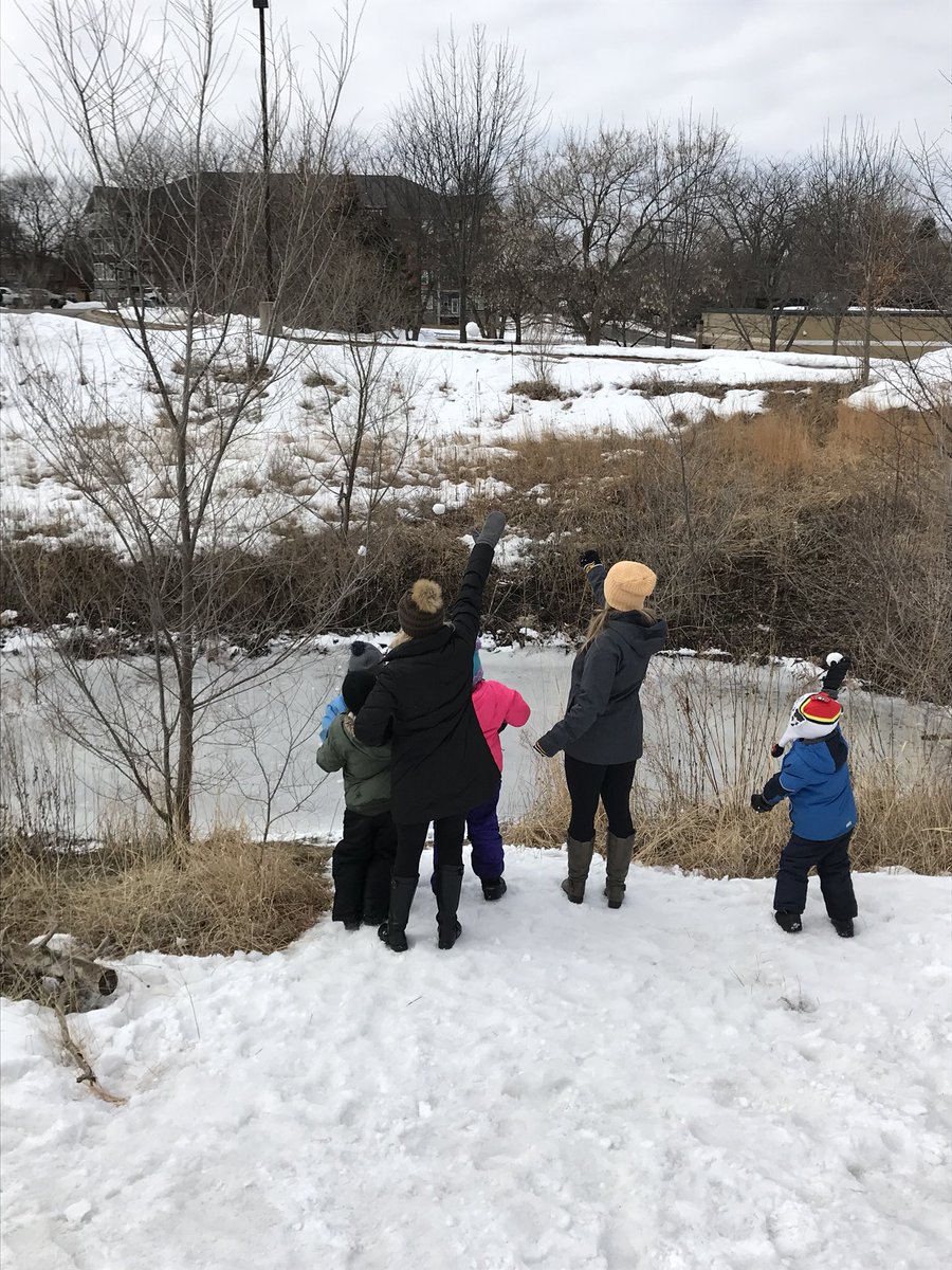 SteMarieIn403's tweet photo. Exploring the drainage ditch #WildernessWednesday https://t.co/lZztoFUtcb