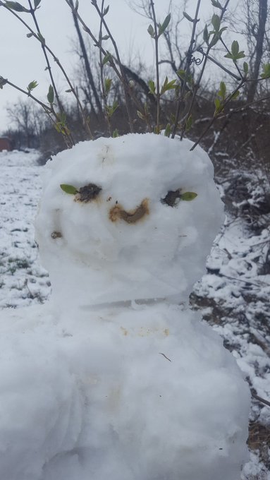 I built a girlfriend since I'm too shy to talk to real girls. Her name is Tracy and she eats shit https://t<a href="/tag/vore"class="tags"><span>#vore</span></a>