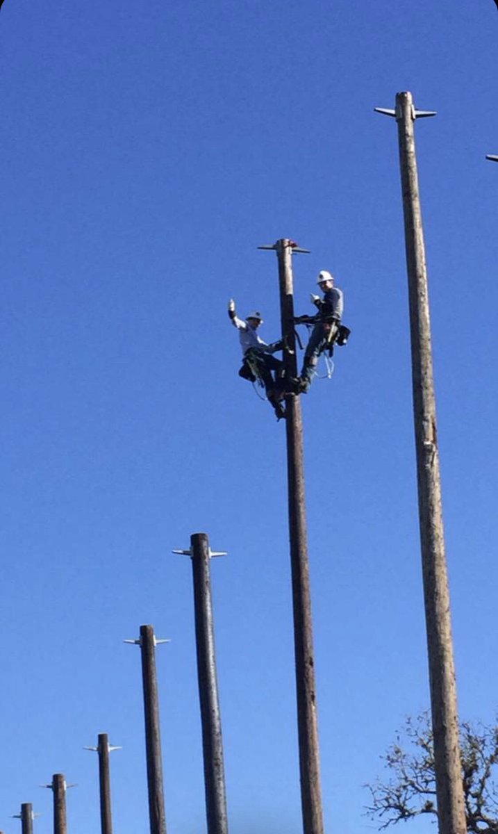 GageMillsaps's tweet photo. 65 ft ain’t no thing. https://t.co/PDeXXQnMrm
