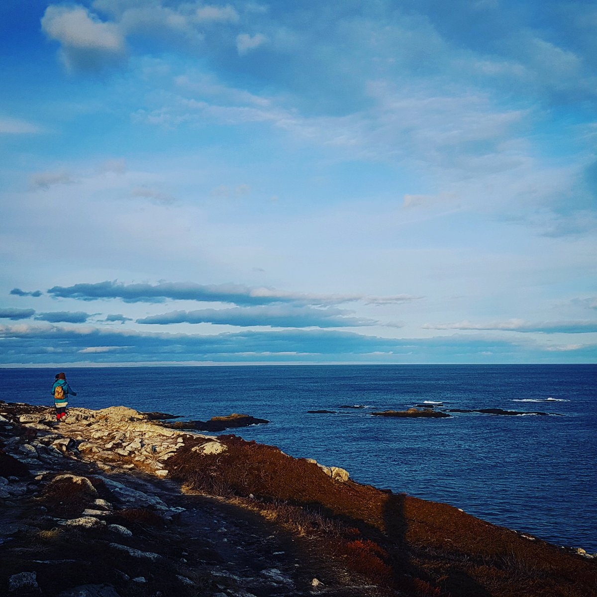 3lkoboom's tweet photo. #hiking #novascotia #lovelife #theworldisbeautiful #3lkoboom https://t.co/6CU4eUCA4v