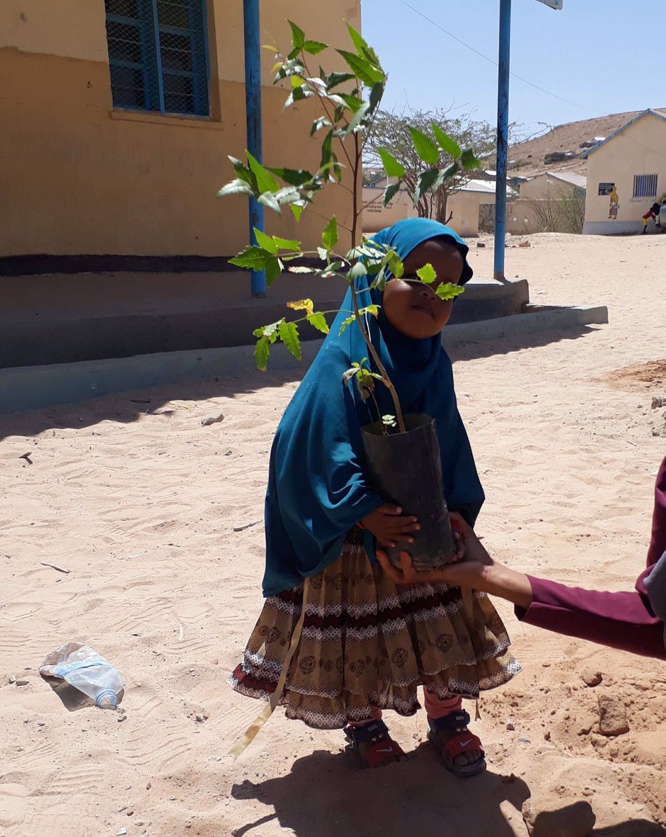 Meet our youngest volunteer, 2 year old Caasha ❤️#Somaliland #Hargeisa #GreenSomaliland #Trees #Planting #PlantingTree #PlantingHope