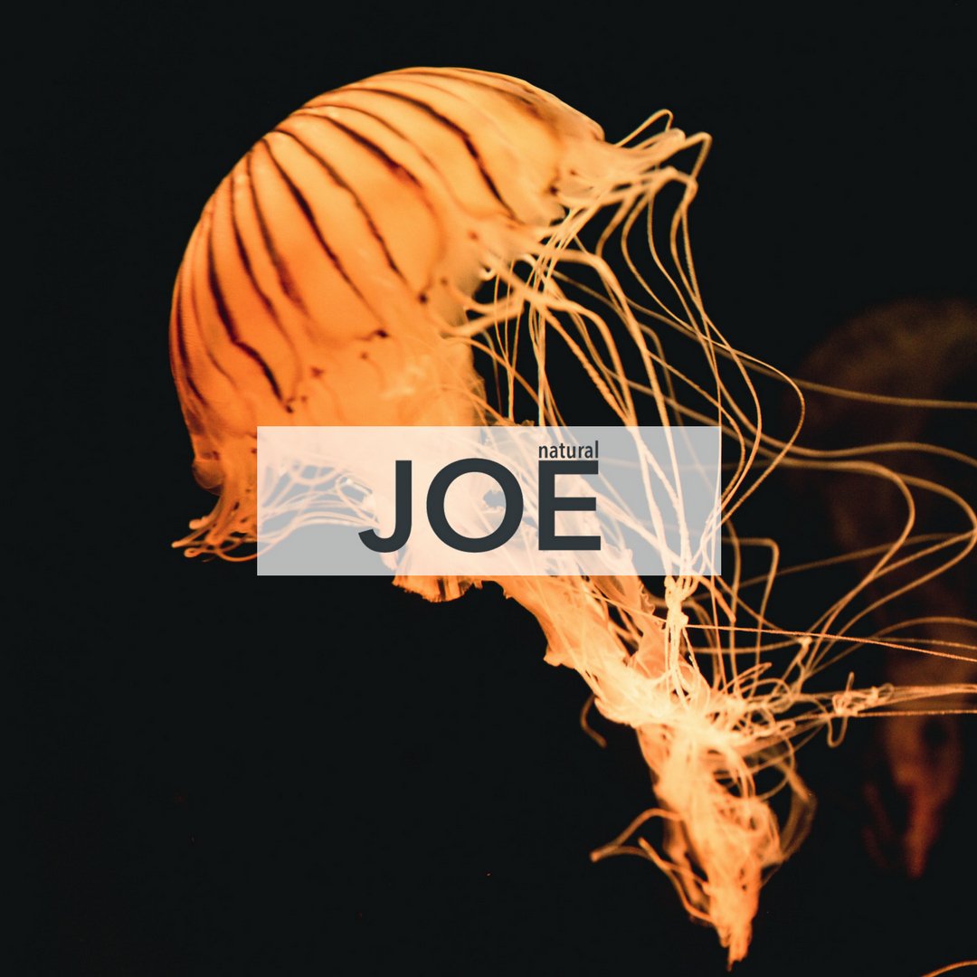 Natural JOE tweet media