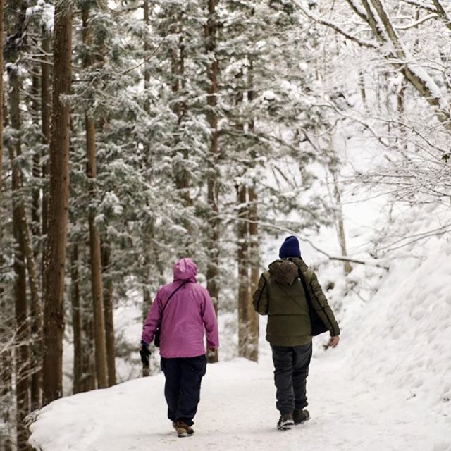 travelphotos's tweet image. Two buddies out looking for some monkeys. This photo was taken about a month ago. .
.
#travelphotography #monkeypark #nagano #winter #winterhiking #mountainhiking #naturephotography #forest #japanesenature #snowhike #jigokudanimonkeypark bit.ly/2u8nTh4