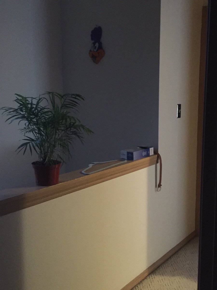 You can always tell when someone makes art because this is what their Instagram looks like