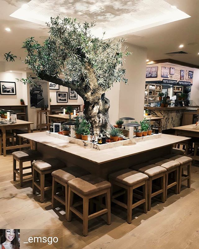 Vapiano_Fr's tweet photo. Merci @_emsgo pour cette jolie photo 💚
#vapiano #aixenprovence #italian #restaurant #italianfood #nature #tree #healthy #healthyfood #homemade #igersfrance #igersprovence #france #tbt #lights #amazing #olive #olivier #interiordesign #interior #green #homeoffreshness https://t.co/jAX9FV45fC