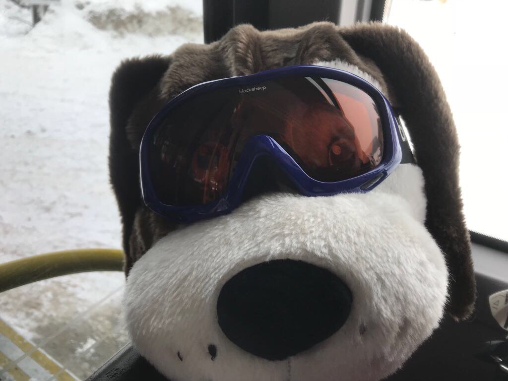 Hoxyheads's tweet photo. Recently we received a lot of pictures of Hoxyheads fans in the snow! Do you also have a nice Hoxyheads photo? Mail it to info@hoxyheads.com #skihelmetcover #hoxyheads https://t.co/vsQ8f8AnI5