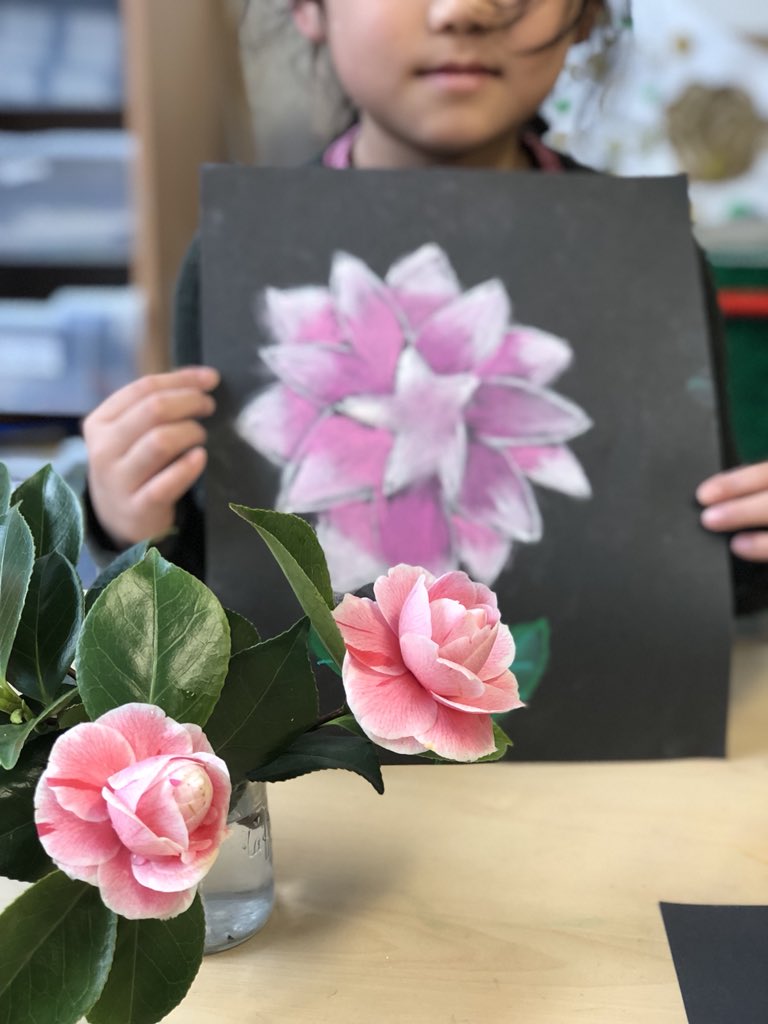 Observational drawing, bringing nature in. #Reflective #ispIB