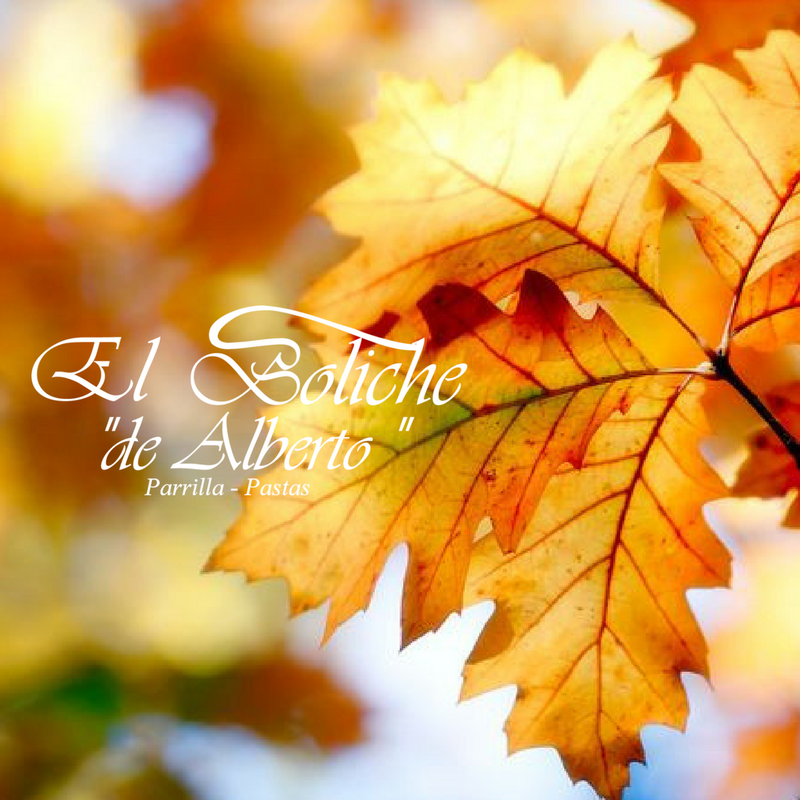 bolichealberto's tweet photo. 🍁🍂21 de Marzo - HOY comienza el Otoño 🍂🍁

Como todo inicio siempre es bueno y positivo! Les deseamos que disfruten esta etapa del año!

Alberto y su familia https://t.co/2r1uATjXgI