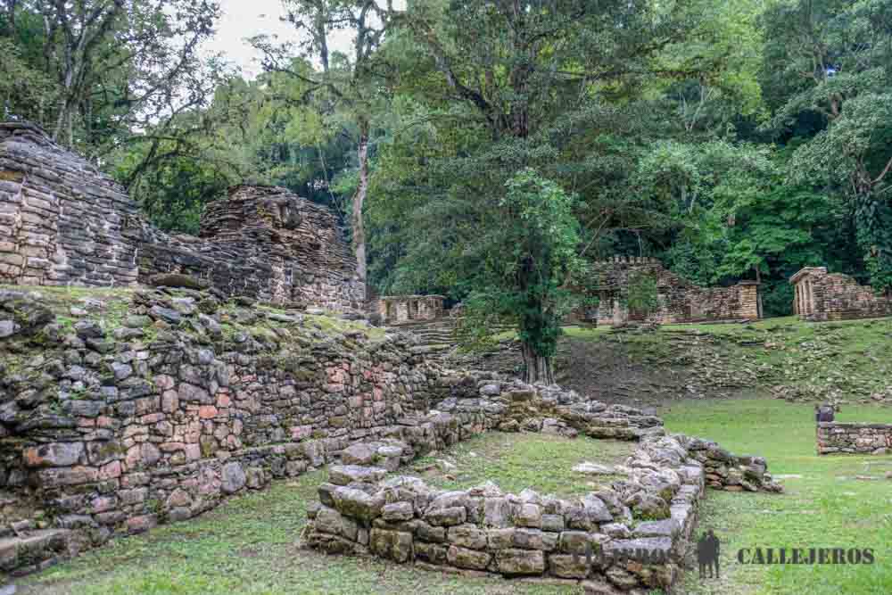 Tour a Yaxchilán y Bonampak desde Palenque, dos de los recintos arqueológicos más impresionantes de México viajeroscallejeros.com/tour-yaxchilan… #Yaxchilán #Bonampak #México