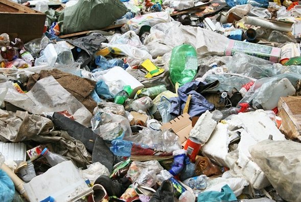 Ottawa group asking city to consider different changes to its green bin program  ottawamatters.com/local-news/ott… #ottnews https://t.co/hyXcXinWLH