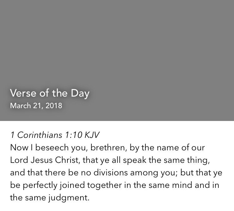 mswilsonsmind's tweet photo. 1 Corinthians 1:10 KJV
Now I beseech you, brethren, by the name of our Lord Jesus Christ,... https://t.co/7p2ePL0XLX https://t.co/k5kwtlRe1Z
