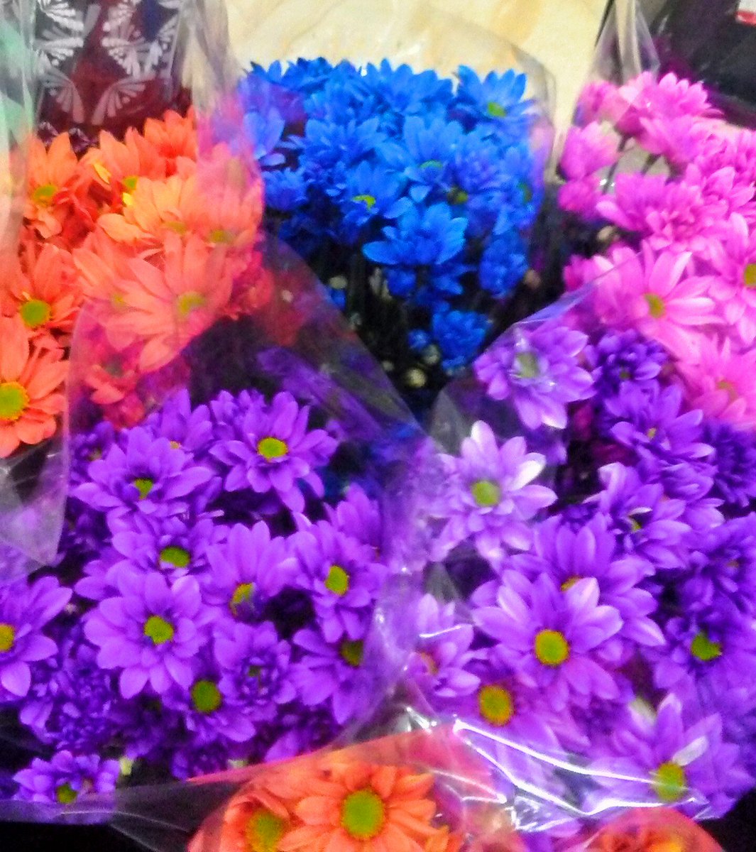 WhitleyFlwers's tweet photo. Can't wait to see you all at the @HamOntMarket tomorrow....Coming tomorrow....#roses #carnations #tulips #daisies #HamOnt #WhitleyFlowers #morecustom https://t.co/KtpfuXT83F