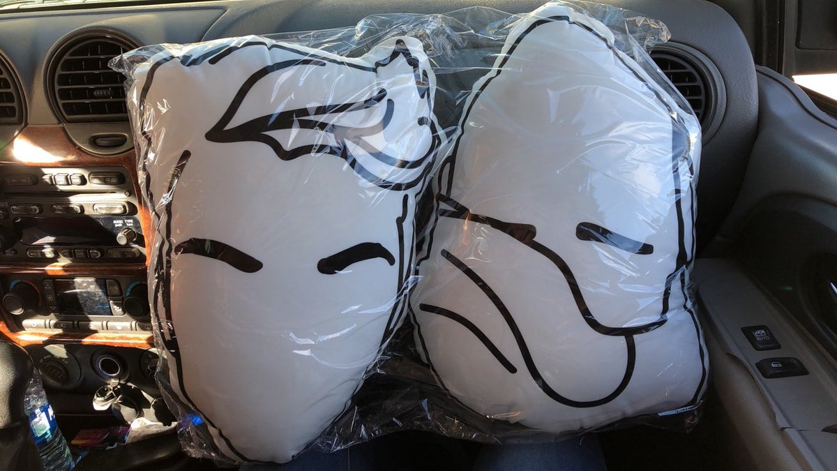 starlightdolann's tweet photo. My pillows came eekk😊 #DolanTwinMerch @EthanDolan @GraysonDolan https://t.co/ihmgTnM8zo