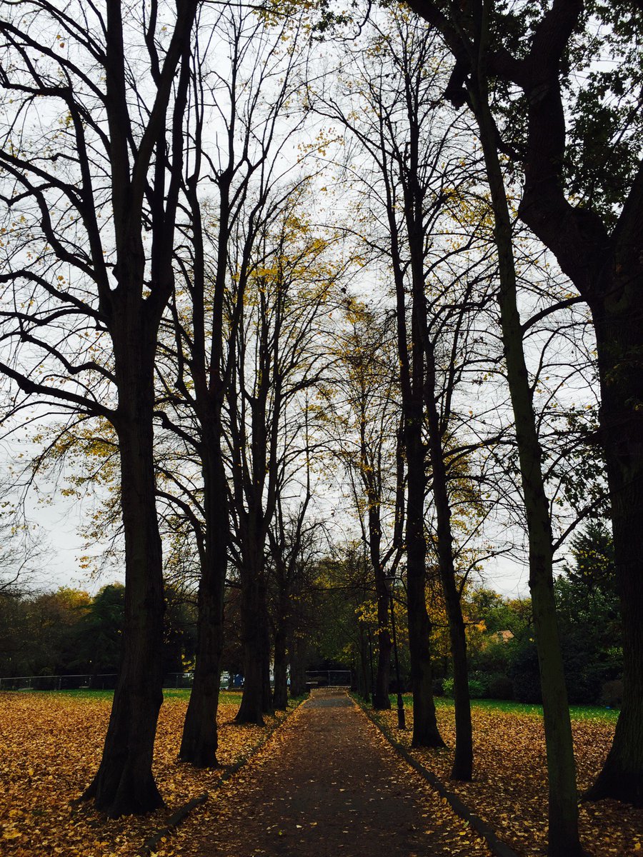 WellbeingGp's tweet photo. #internationalforestday #treetherapy #loveourworld #exerciseismedicine 

Love the fact twitter is the only place to say Happy International Forest Day! Enjoy our natural beauties whilst exercising outside. Come rain or shine! ☔️☀️🌳🏸

Read about #IFD:
https://t.co/82VJ5m5tjd https://t.co/T8DuecgRpo