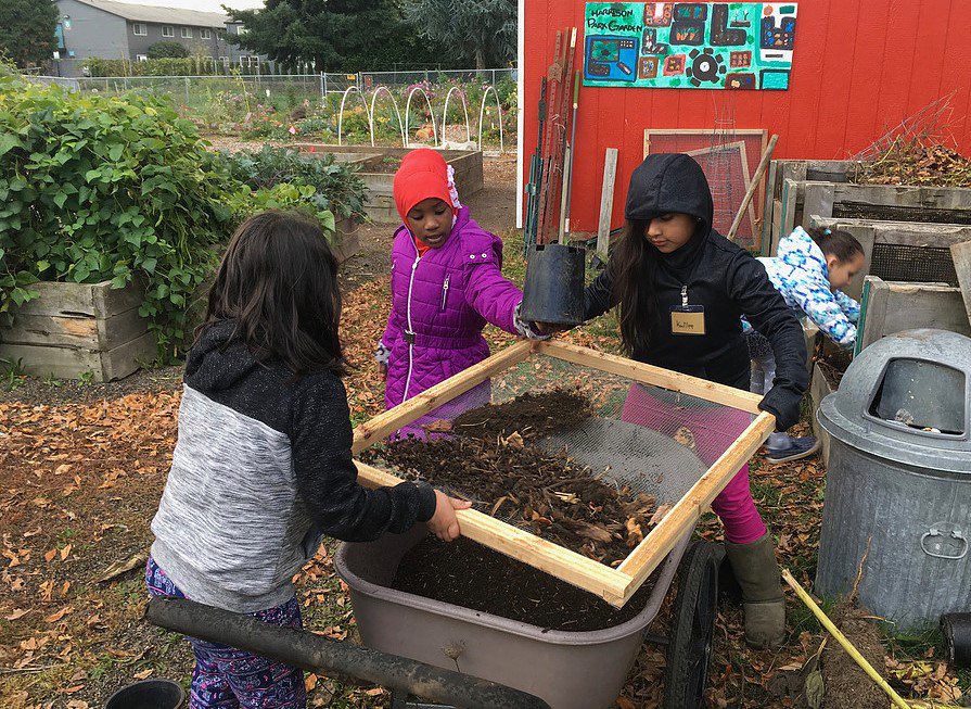 ppsoperations's tweet photo. Students at Harrison Park starting their school garden! https://t.co/4KWacB968v