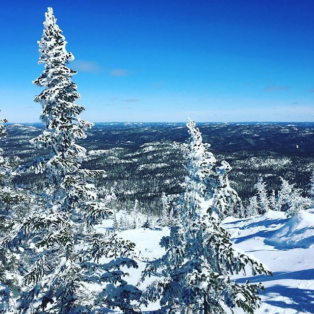 LesRockalouves's tweet photo. [ PRINTEMPS ] Bien qu’on a trop hâte au printemps... l’hiver était encore présent dans les Monts Valin lorsque @laurieobama est allée y faire un tour! #hiking #instalouve #montagne #mountainlife #snow #explorecanada #quebecoriginal #saguenay https://t.co/9t3eTNVCNZ https://t.co/7A13nSwYAO