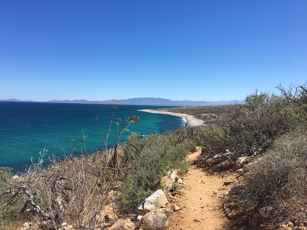 katymcc's tweet photo. A little warm, but the running in the heat was worth it for this #viewfromarun https://t.co/frAmSIfLi9