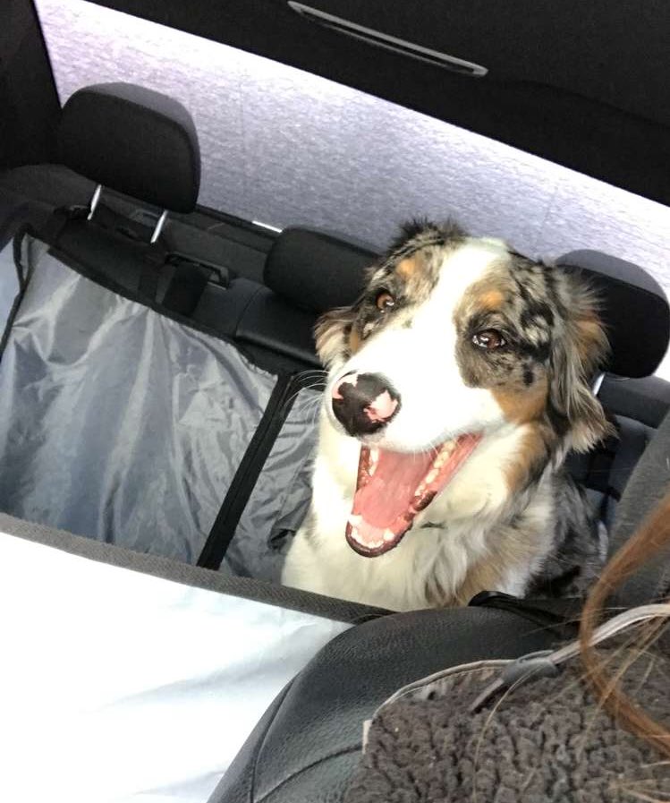 When you get in the car after school and your mom says you can go to McDonald’s