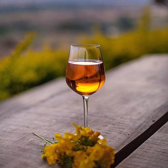 DoYouBonFun's tweet photo. Reposting @fratelliwines:
Whatever you do pour yourself into it!
#fratelliwines #winelover #winestagram #winetime #wine #wineoclock https://t.co/BUs9DdxbPU