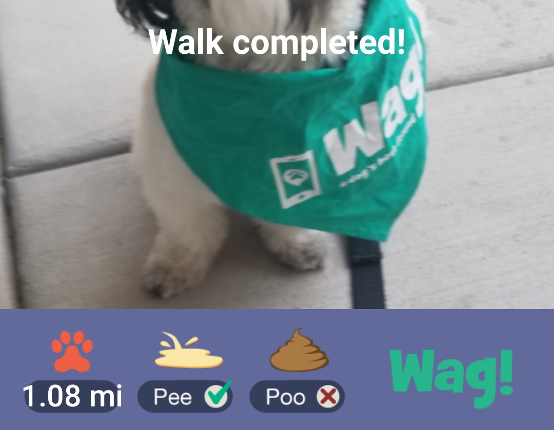 CombatZonePBLV's tweet photo. Just Finished a dog walk on Wag! Use my promo code DEBRA76552 for $25 in FREE Wag! credit! Play store: https://t.co/kRINAaTCJo https://t.co/fpIbG7zR9w