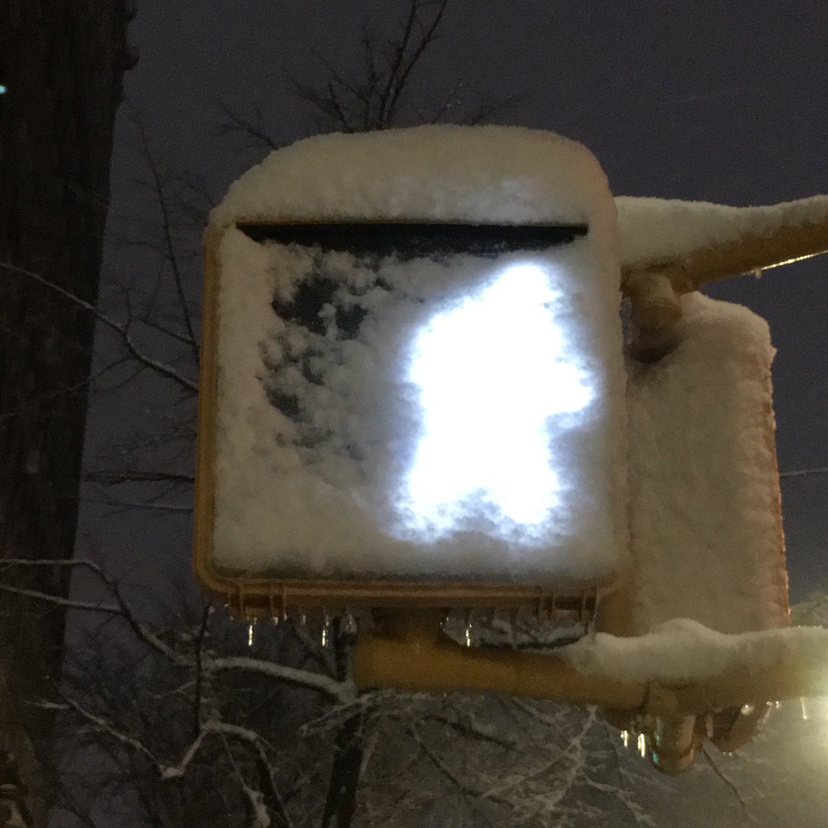 nancyfranklin's tweet image. I saw the Abominable Crosswalk Man on Riverside Drive!