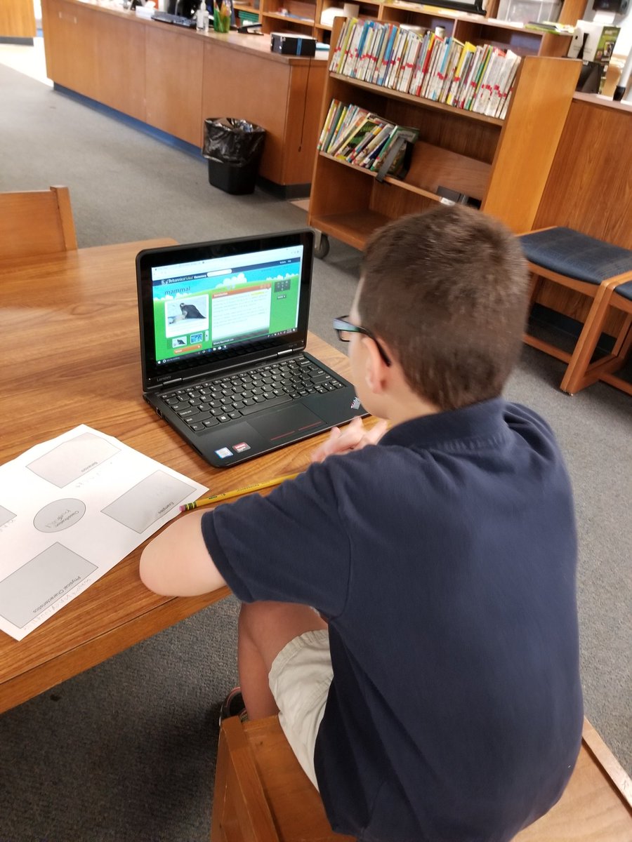 teammorrison112's tweet photo. Students learning how to research information on the computers, all about the different classifications of animals! #teammorrison #thirdistheword #theoc #animalclassifications https://t.co/cQNPCLqAh5