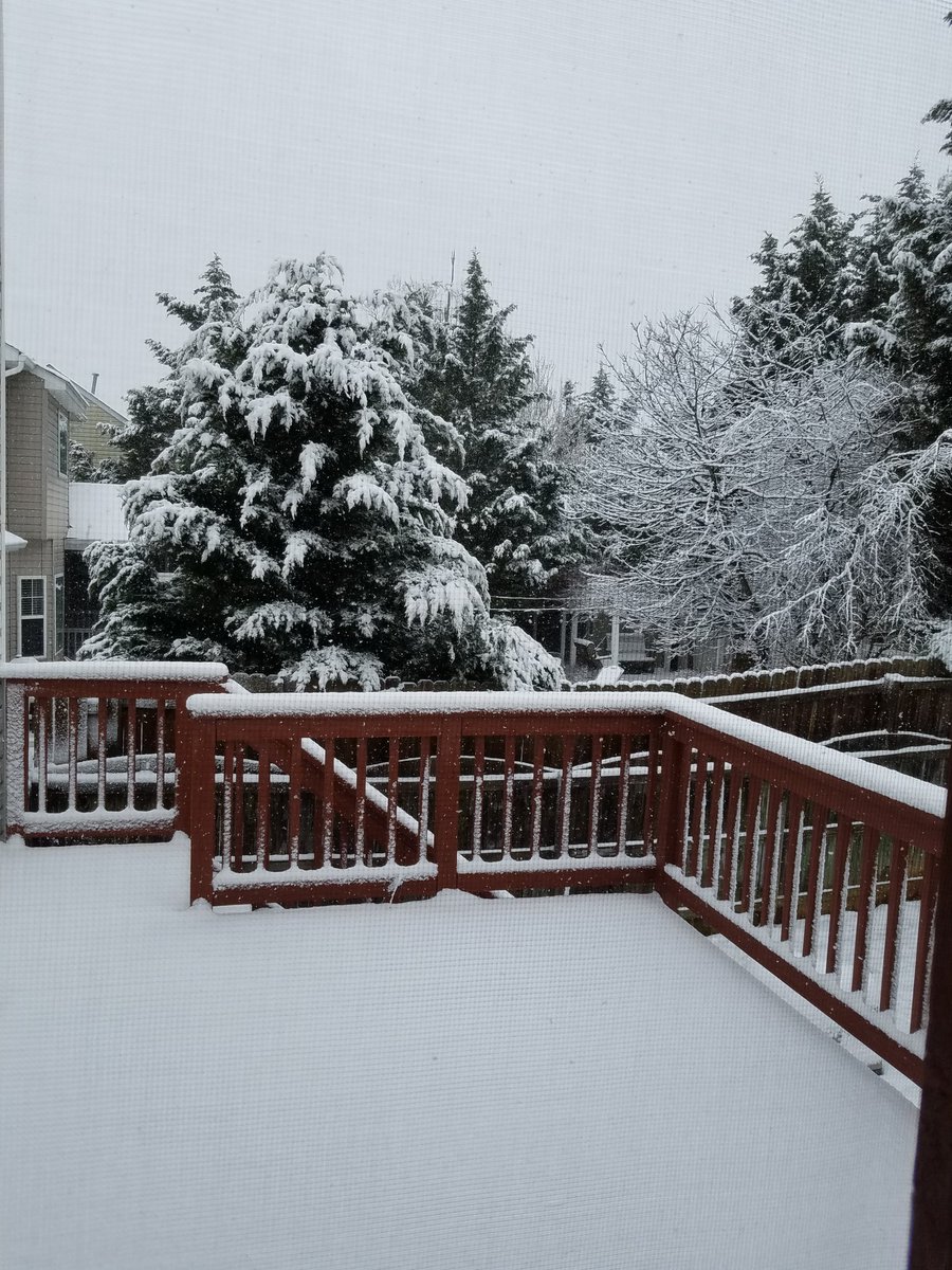CynDeeGe's tweet image. First day of spring and the last snow of winter at once #firstdayofspring