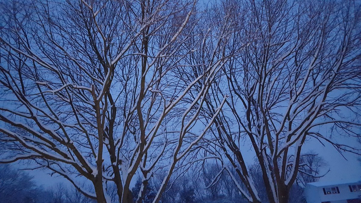 pashionhodges's tweet photo. #SnowDay #WJZSpringSnowDay https://t.co/E8yrRQpk0h