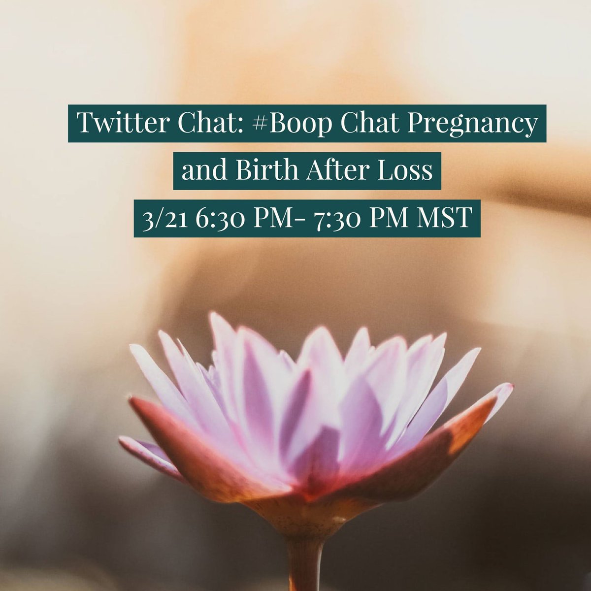 Cloth_Diaper's tweet photo. One hour until our #boopchat: Rainbow Babies - Pregnancy and birth after loss.  Join us to celebrate our rainbows and remember the babies we lost.  🌈 #boopchat https://t.co/L5RnVItejc