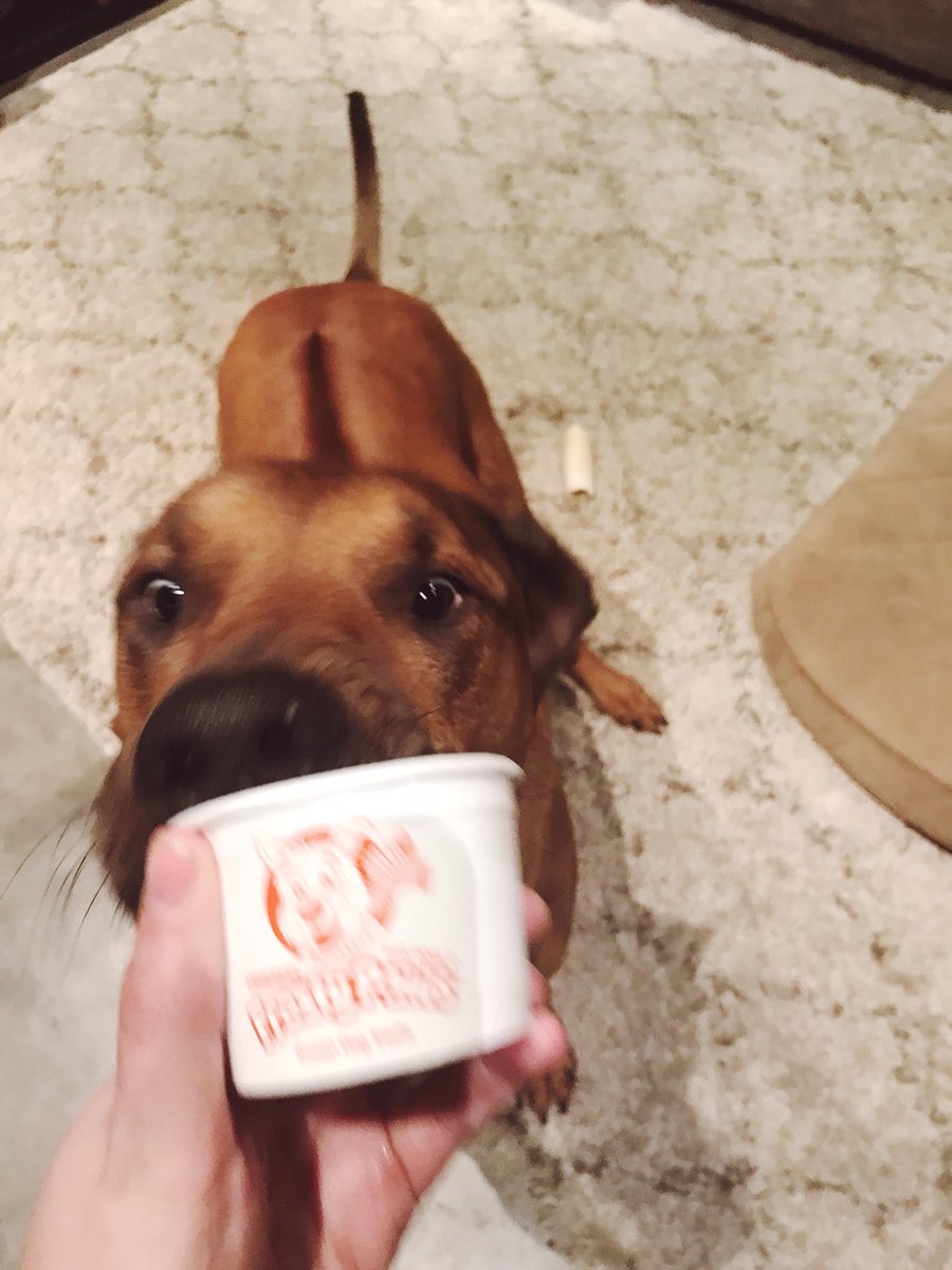 AmandaPicc's tweet photo. When it’s your birthday and you’re trying to be all cool and stuff but you know your getting FROSTY PAWS!! 
(Thanks @FrostyPaws!!) https://t.co/6s3pTkbIjo