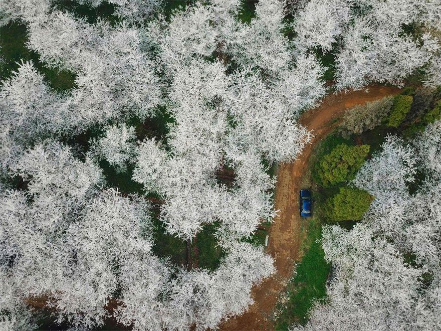 GratitudeDNA's tweet photo. ซากุระบานแล้ว...ในจีน

Cherry blossoms in China 😍

ภาพจาก: PDChina/Getty Images/VCG/National Geographic https://t.co/m0twLixRrR