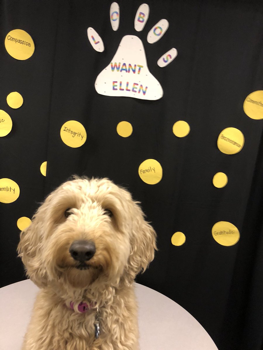 Dog_Named_Lily (dog_named_lily) Twitter