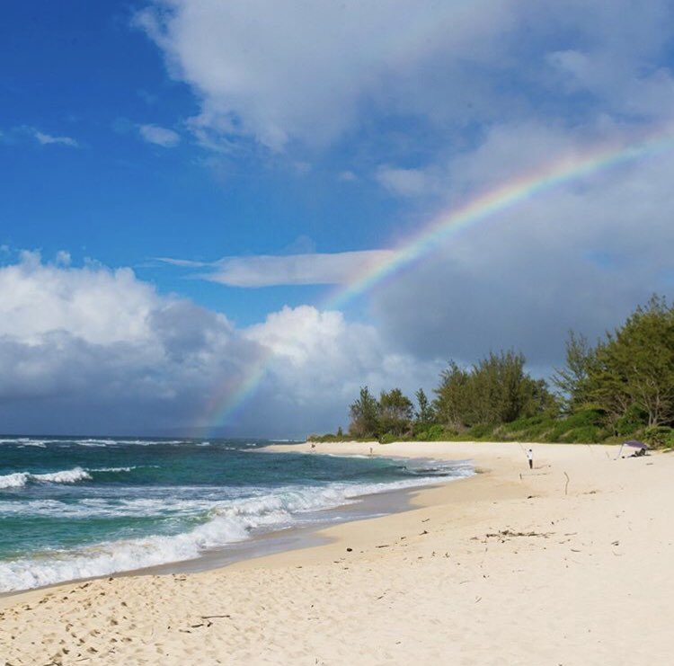 HiLifeStore's tweet image. No Rain, No Rainbow  Stoked to finally get some sun. Hope everyone enjoyed their day🤙
・・・
#ocean #oceanside #oceanlife #wildlife #sealife #sea #seascape #seaside #sunrise #daytime #sunset #nighttime #colour #golden #goldenhour #nature #outdoors #greatoutdoors #getoutside