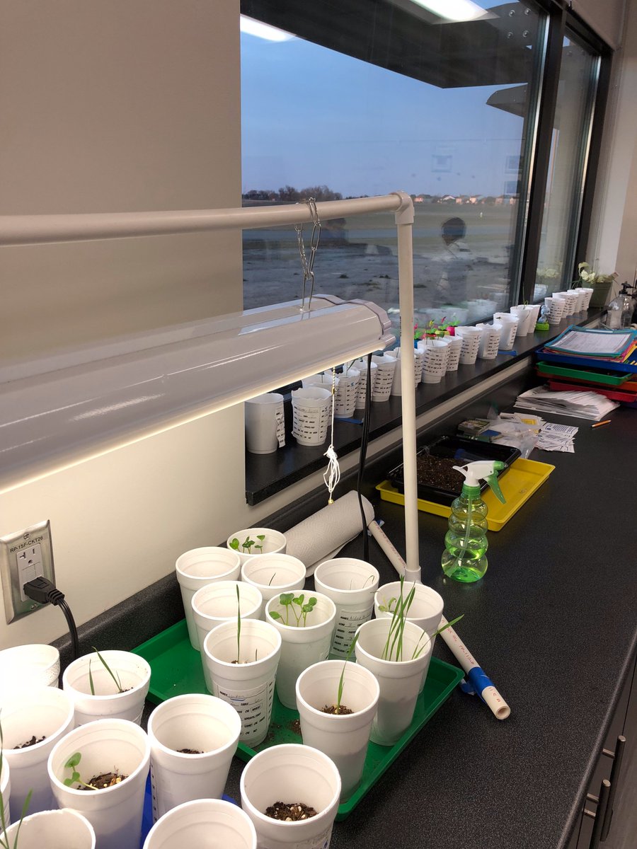 HPIScience's tweet photo. Thanks BGSU for the great workshops.  HPI students love to explore ways to help improve our water quality! #BGSU https://t.co/2MvANGX3c8