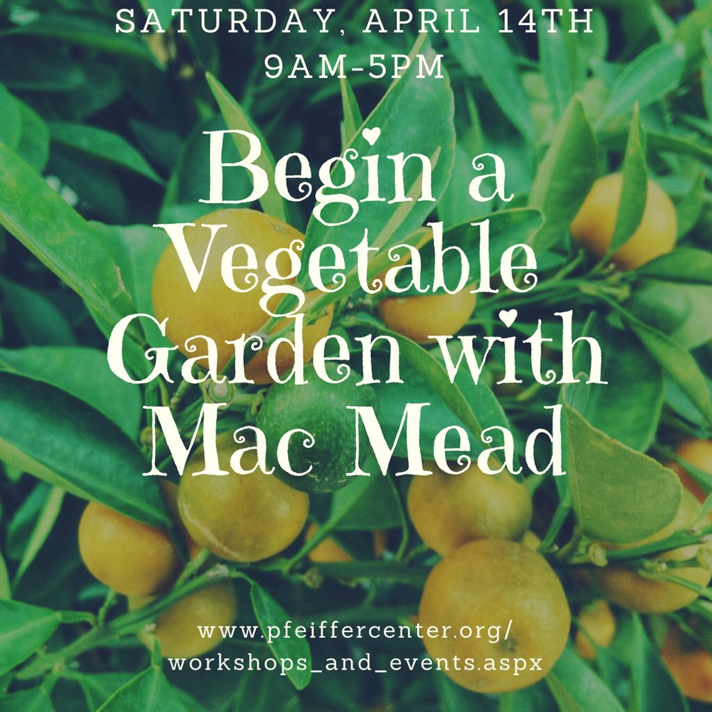 GreenDynamics18's tweet image. Come learn how to create your own veggie garden with Mac Mead! Mac has nearly 40 years of biodynamic farming experience! You can register online for the workshop that takes place on Saturday, April 14th from 9am-5pm! 
#biodynamic #greenthumbxpfeiffer #veggies #garden