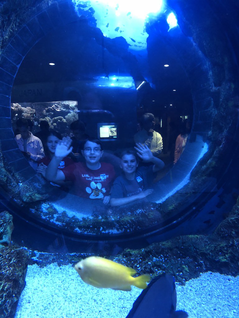 Lamar 4th graders continuing their learning at Dallas World Aquarium! <a href="/DISDLearns/">𝐃𝐞𝐧𝐢𝐬𝐨𝐧 𝐈𝐒𝐃 𝐋𝐞𝐚𝐫𝐧𝐬</a> <a href="/JanetKMobley/">Janet Mobley</a>