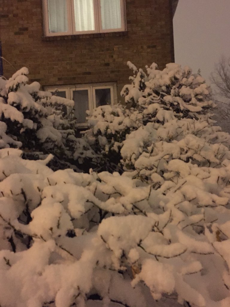 deacon_ron2's tweet photo. #snowevening❄️ #moresnownowthanallday #ohboyyy https://t.co/xYg5DHms82