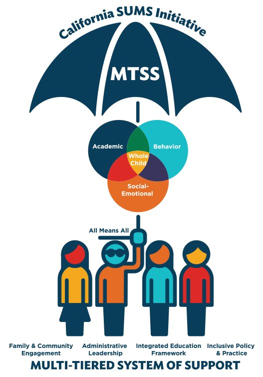 Mtss Process Flow Chart