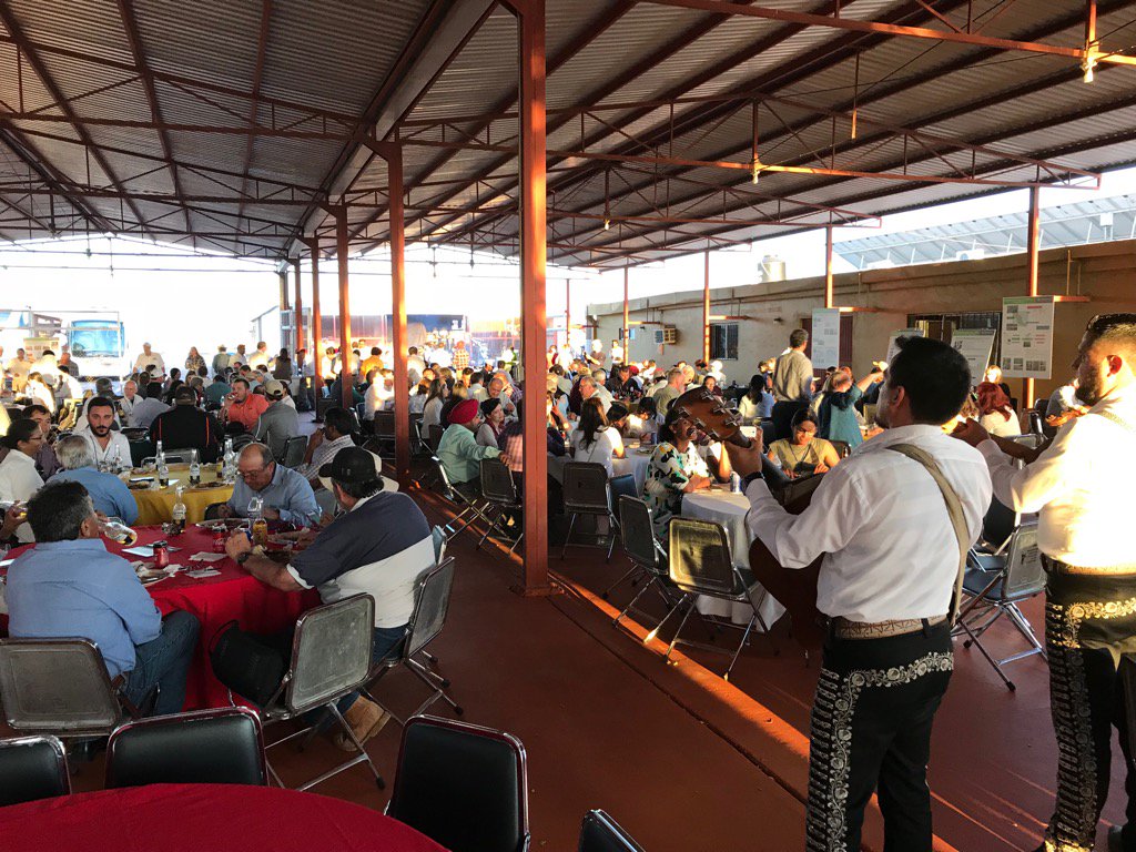 This is how we end a great wheat field day: good food, Mariachi and many new ideas for wheat improvement <a href="/CIMMYT/">CIMMYT</a>